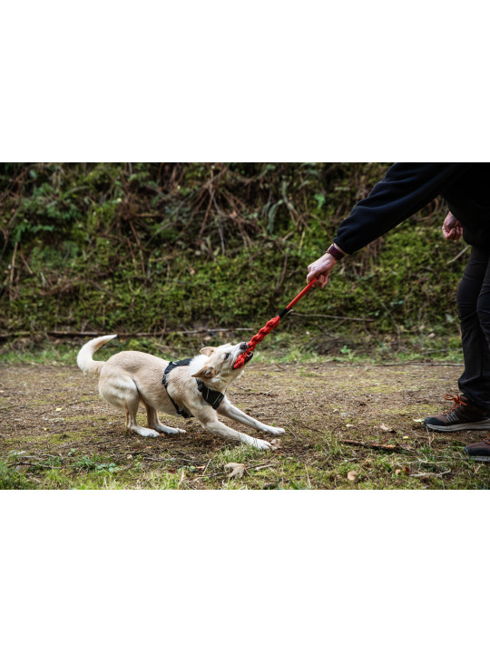 Zabawka dla psa płaski gryzak z liny Mountain Paws