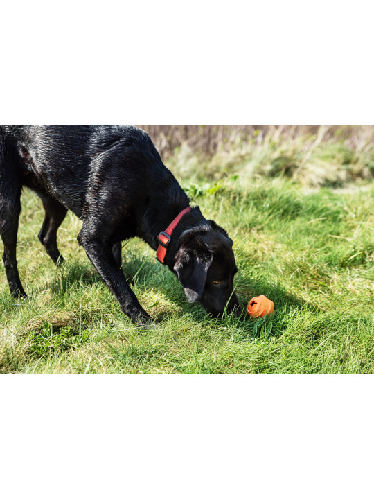 Dozownik smakołyków w formie piłki dla psa Mountain Paws