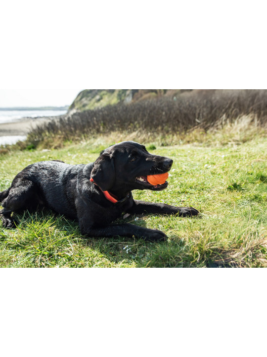 Dozownik smakołyków w formie piłki dla psa Mountain Paws