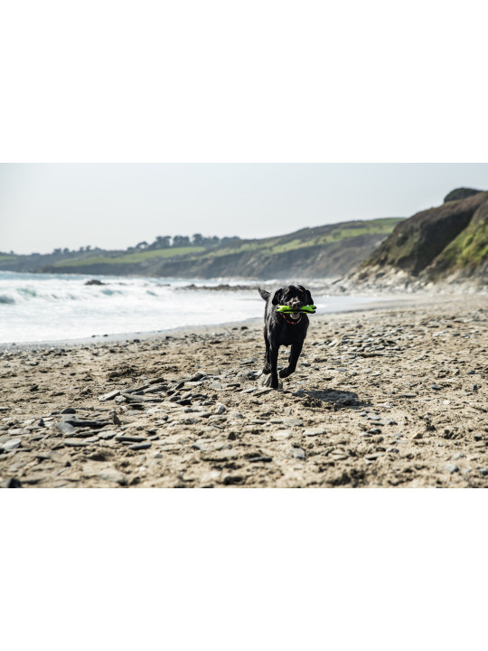 Gumowa kość dla psa Mountain Paws