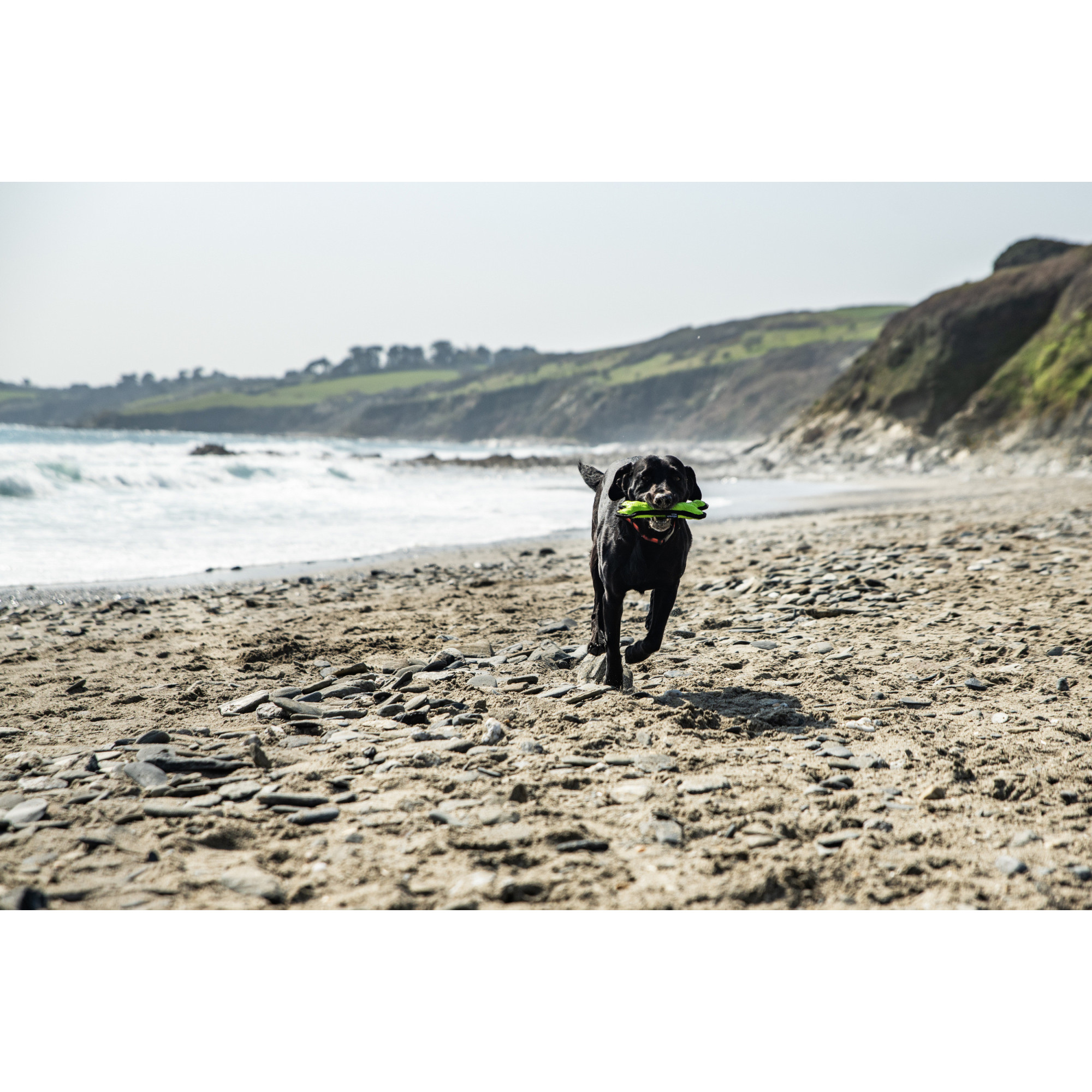 Gumowa kość dla psa Mountain Paws