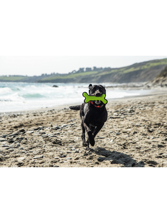 Gumowa kość dla psa Mountain Paws