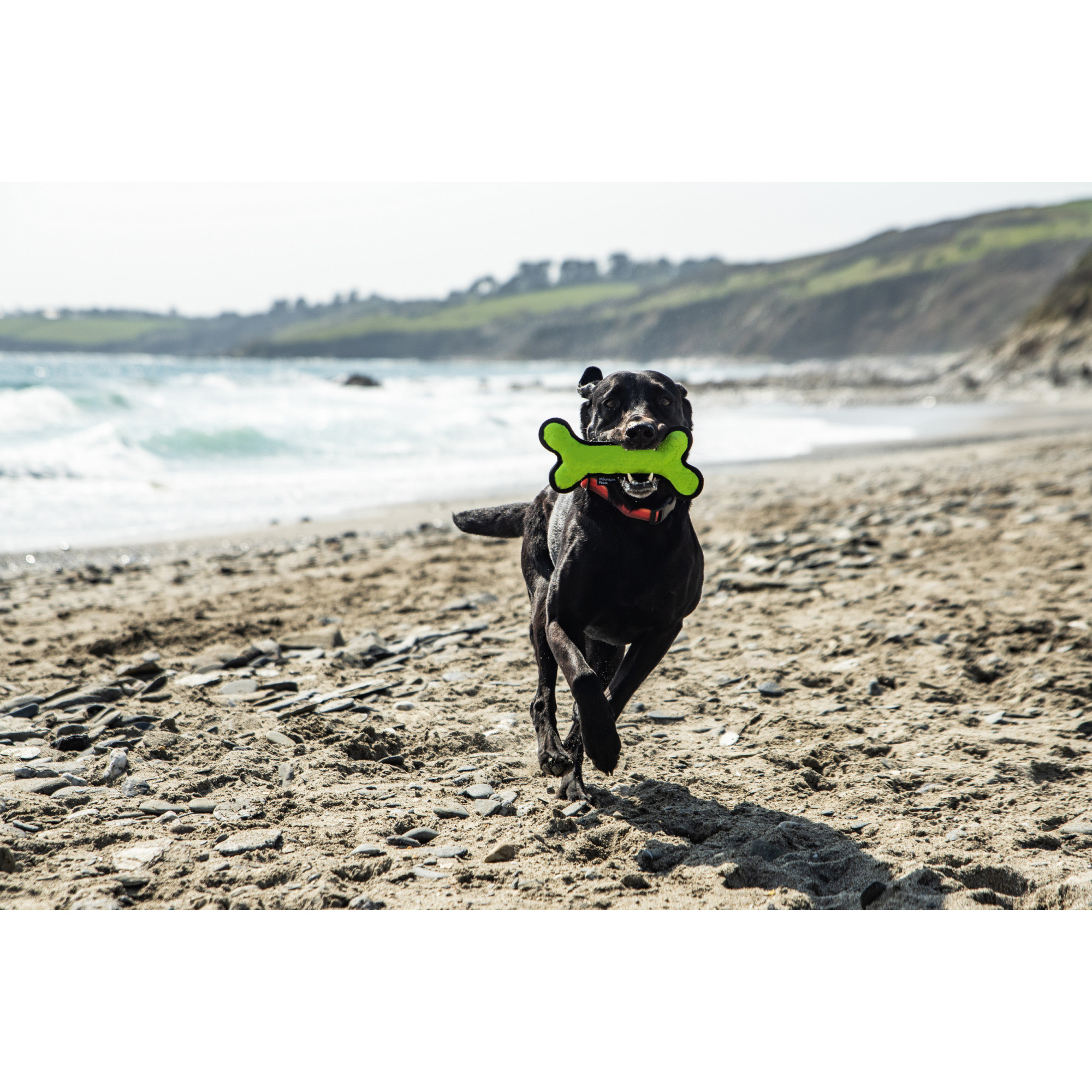 Gumowa kość dla psa Mountain Paws