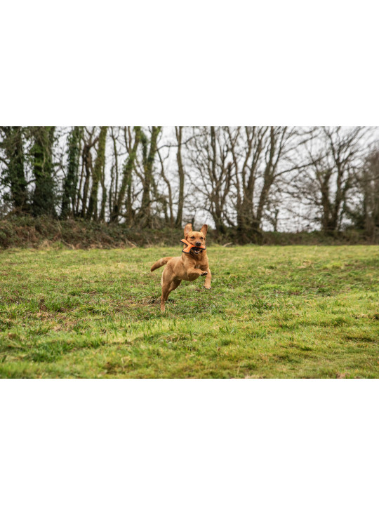Zabawka do rzucania Mountain Paws
