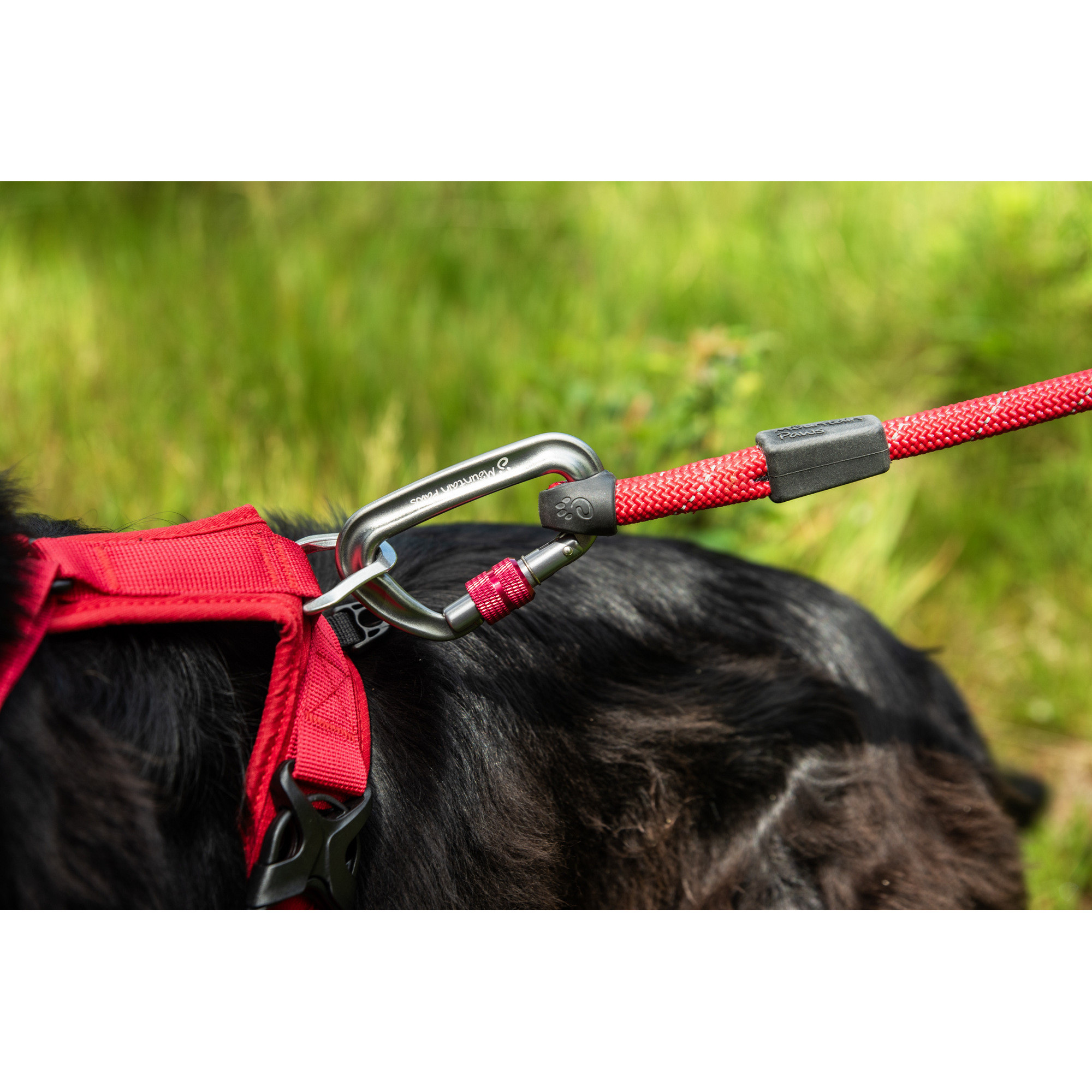 Smycz linowa dla psa Mountain Paws - 120cm