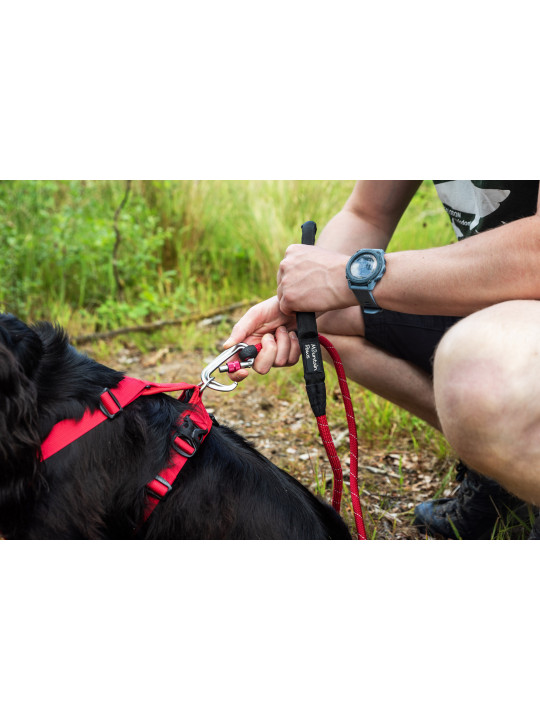 Smycz linowa dla psa Mountain Paws - 120cm