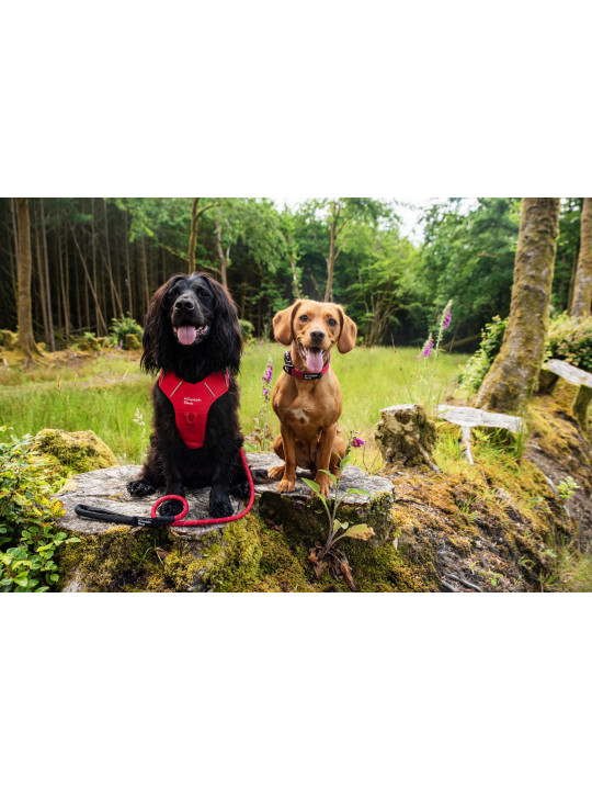 Smycz linowa dla psa Mountain Paws - 120cm