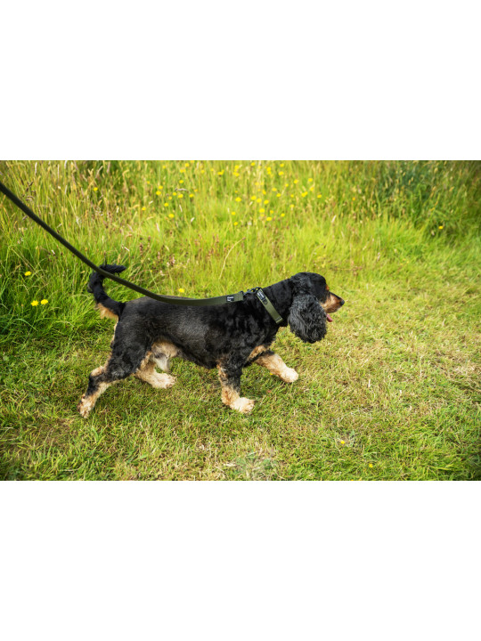 Bardzo wytrzymała smycz dla psa Mountain Paws - 115 cm