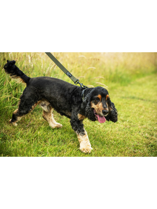 Bardzo wytrzymała smycz dla psa Mountain Paws - 115 cm