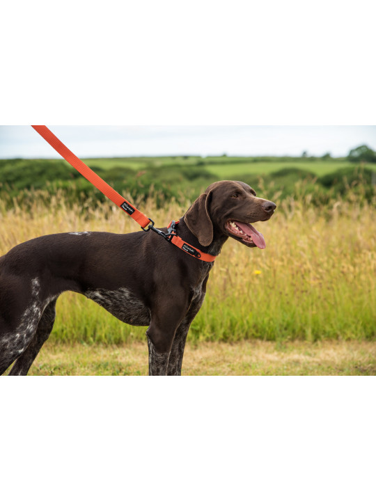 Bardzo wytrzymała smycz dla psa Mountain Paws - 115 cm