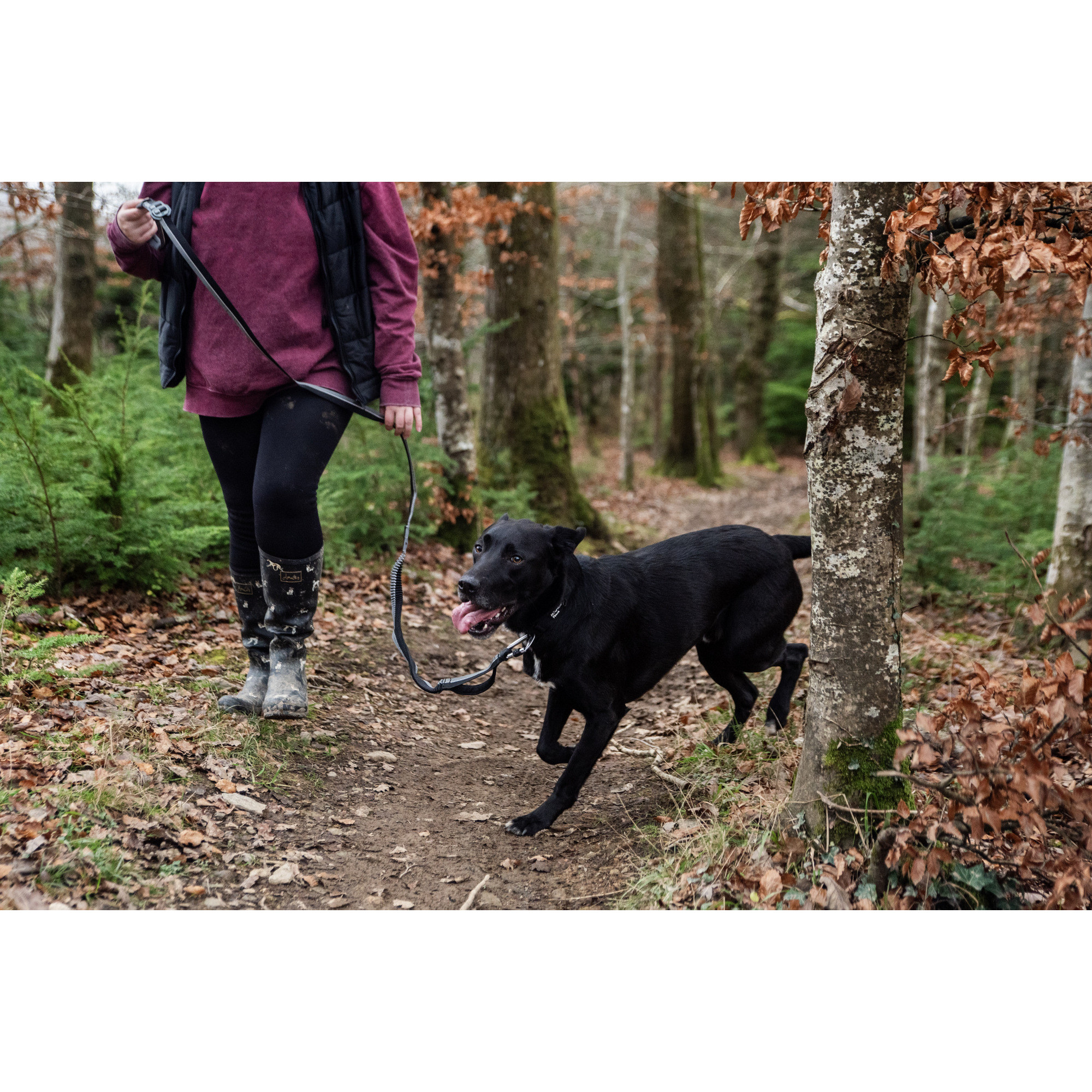 Smycz do biegania z amortyzatorem Mountain Paws - 281 cm