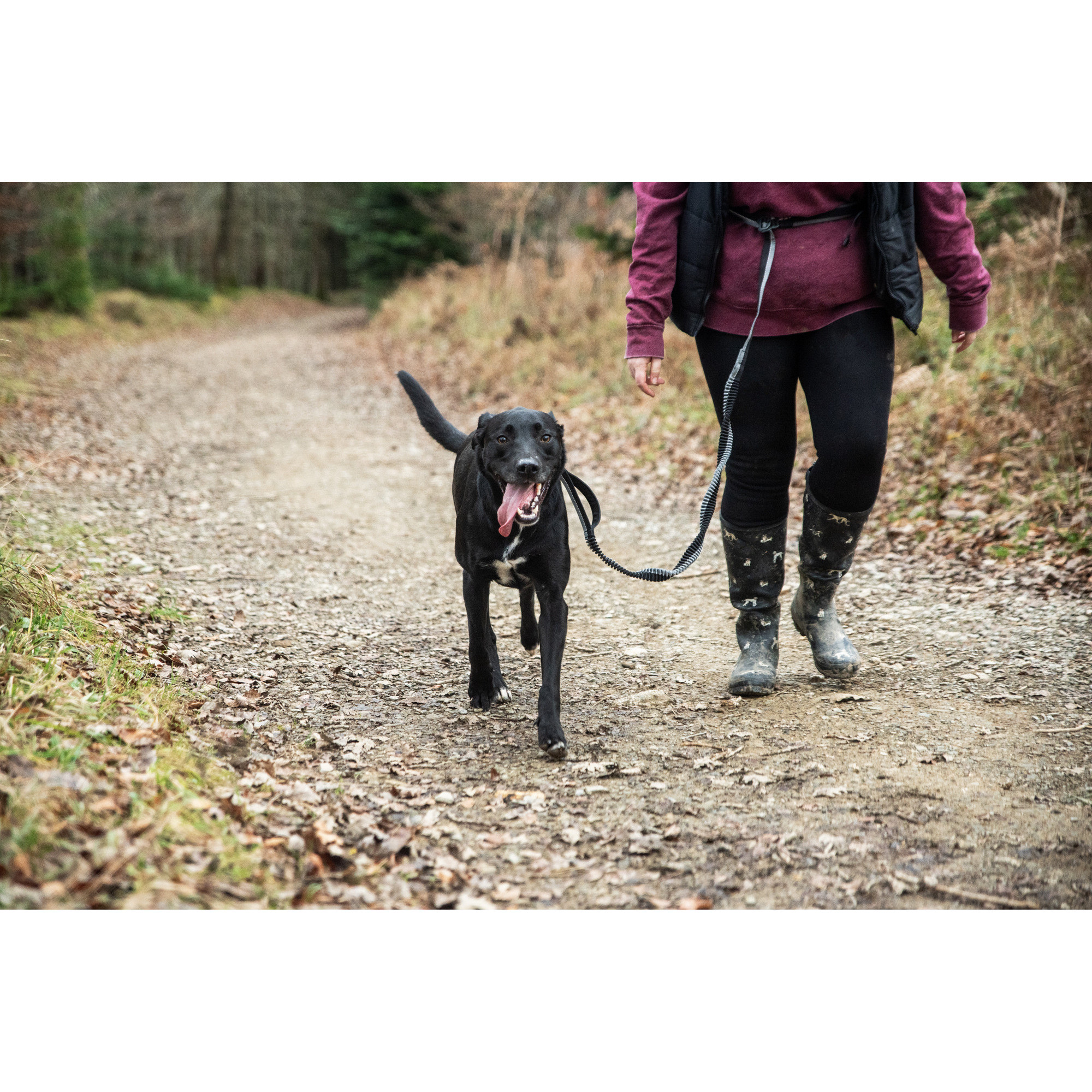 Smycz do biegania z amortyzatorem Mountain Paws - 281 cm