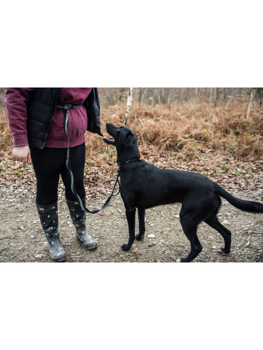 Smycz do biegania z amortyzatorem Mountain Paws - 281 cm