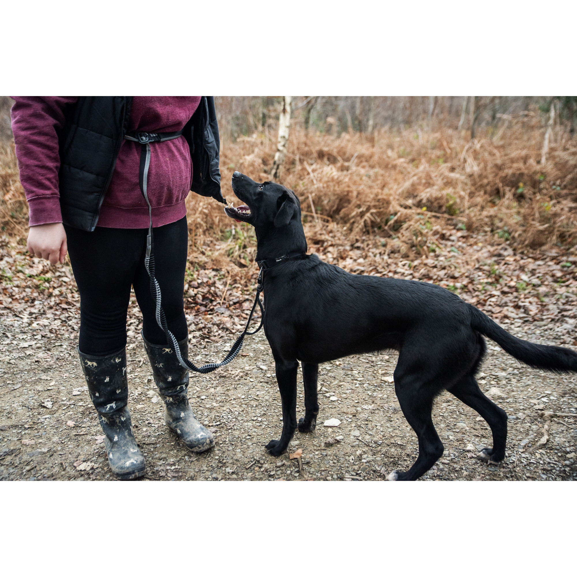 Smycz do biegania z amortyzatorem Mountain Paws - 281 cm