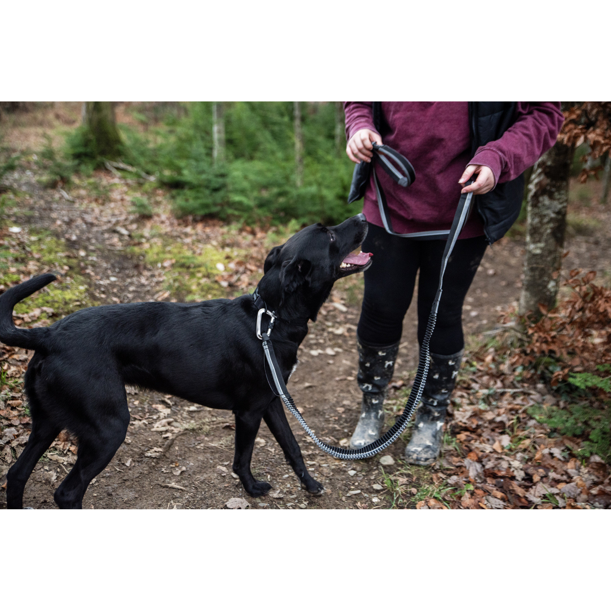 Smycz do biegania z amortyzatorem Mountain Paws - 281 cm