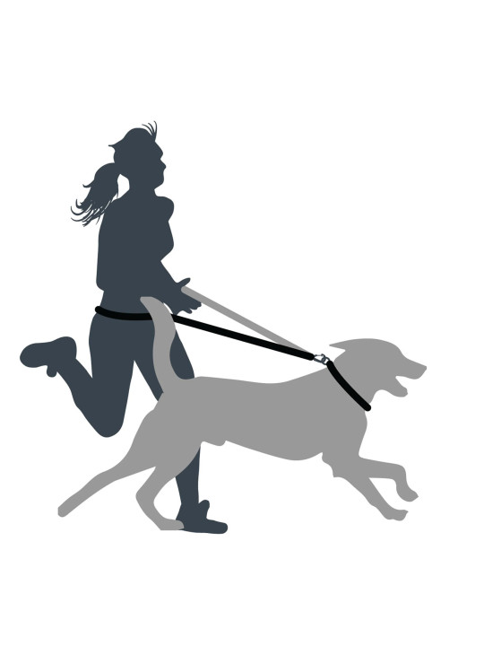 Smycz do biegania z amortyzatorem Mountain Paws - 281 cm