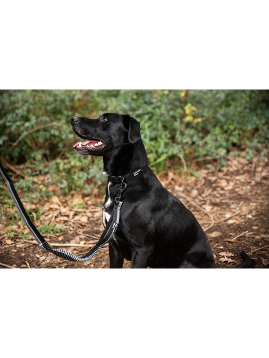 Smycz dla psa z amortyzatorem Mountain Paws - 135 cm