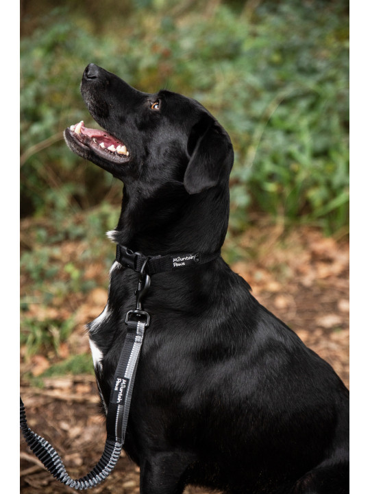 Smycz dla psa z amortyzatorem Mountain Paws - 135 cm