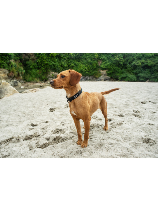 Bardzo wytrzymała obroża dla psa Mountain Paws - czarna