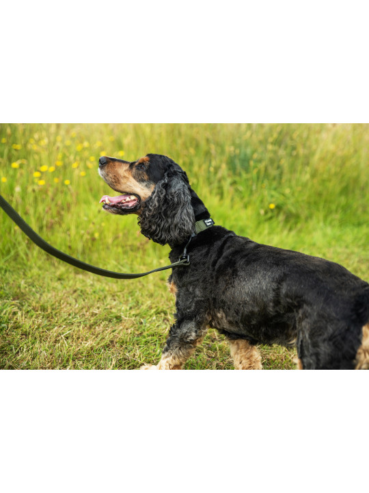 Bardzo wytrzymała obroża dla psa Mountain Paws - olive