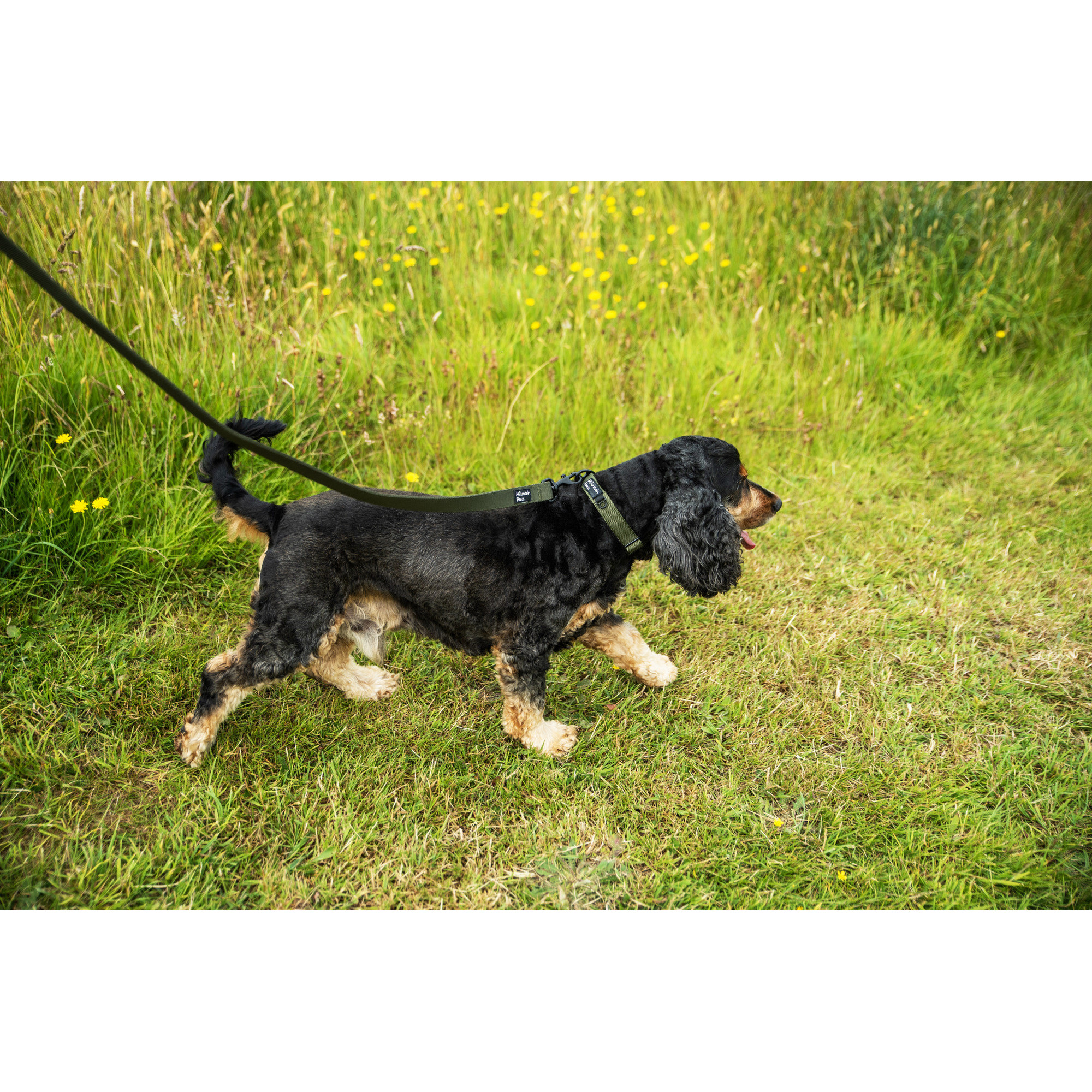 Bardzo wytrzymała obroża dla psa Mountain Paws - olive